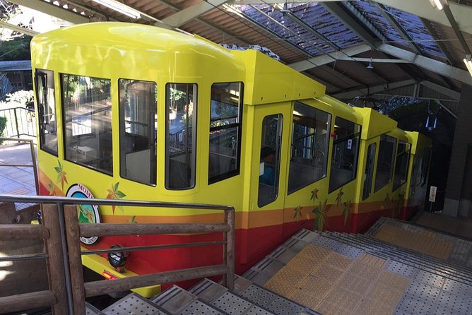Full Day Hiking Tour at Mt.Takao including Hot Spring - A short stop at the Takao 599 Museum
