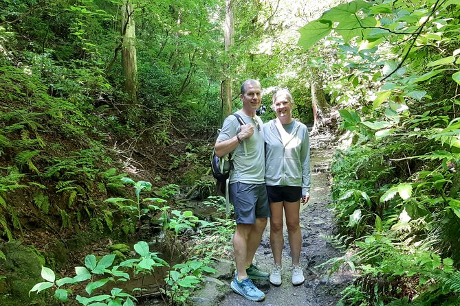 Full Day Hiking Tour at Mt.Takao including Hot Spring - Yakuo-in Temple and the sacred side of the mountain