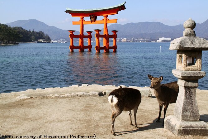 Full Day Hiroshima and Miyajima Bus Tour from Hiroshima - What the guides add to the day