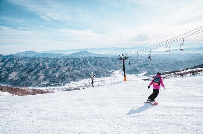 Full Day Private Skiing / Snowboarding Tour in Sapporo - The rental cost is the main extra expense