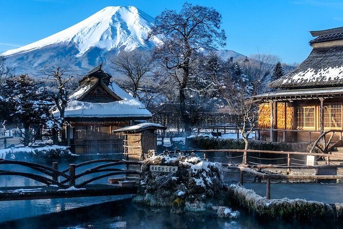 Full Day Private Tour in Mt. Fuji and Hakone - The five details that matter most