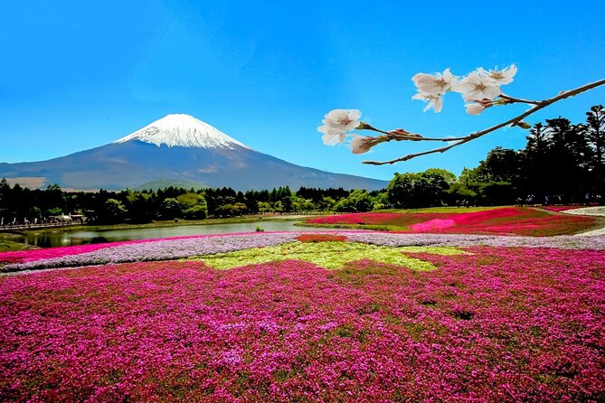 Full Day Private Tour in Mt. Fuji and Hakone - Owakudani serves up volcanic scenery and black eggs