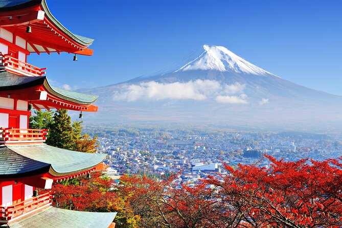 Full Day Private Tour in Mt. Fuji and Hakone - Saiko Iyashi no Sato Nemba preserves old-style village life