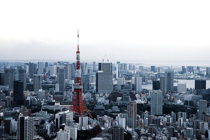 Full-Day Private Tour to Discover The Best of Tokyo - Bargains and local color at Ameyoko