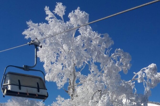 Full Day Ski Lesson (6 hours) in Yuzawa, Japan - Costs beyond the advertised $457.24