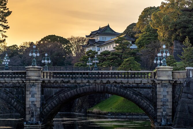 Full Day Tokyo Private Tour by Luxury Vehicle - What makes this Tokyo tour useful