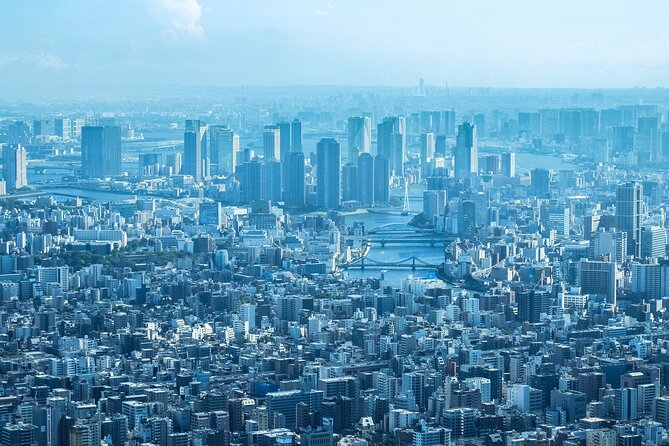 Full Day Tokyo Private Tour by Luxury Vehicle - Meiji Jingu: a quiet break among 100,000 trees