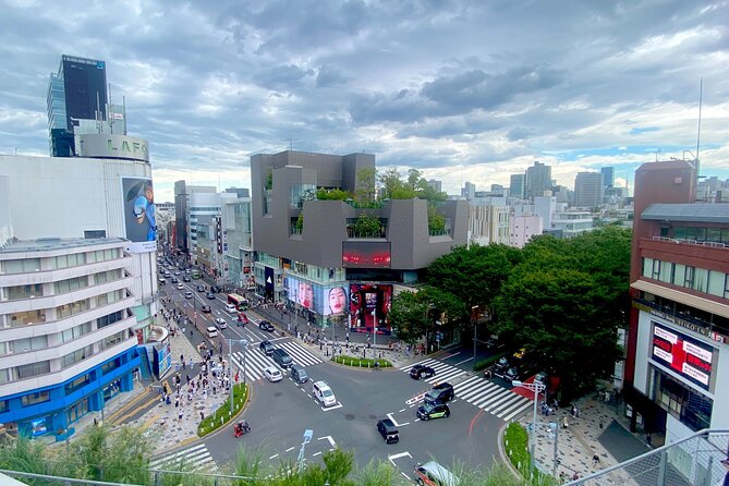 Full Day Tokyo Private Tour by Luxury Vehicle - Shibuya Crossing: a short, famous finale