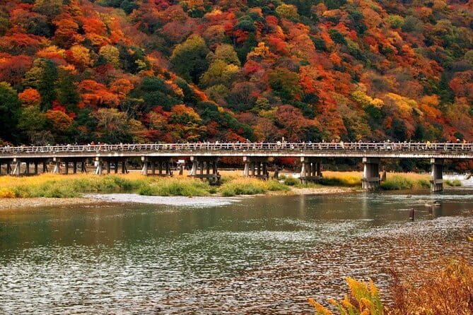Full Day Tour of Kyoto with Private Transportation - Arashiyama Bamboo Grove and the Togetsukyo Bridge