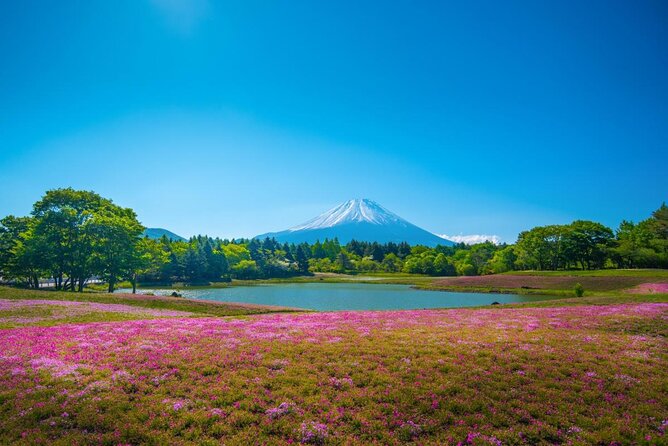 Full Day Tour to Mount Fuji in Spanish - Key points to know before booking