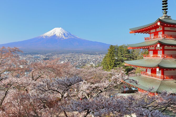 Full Day Tour to Mount Fuji in Spanish - Saiko Iyashi no Sato Nemba and old village life