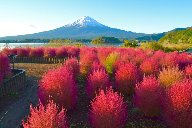 Full Day Tour to Mount Fuji in Spanish - Oshino Hakkai and traditional Japanese food
