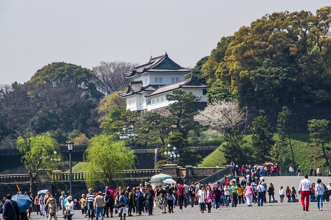 Full Tokyo: Meiji Shrine, Imperial Palace, Asakusa & Skytree - Key points to know before booking