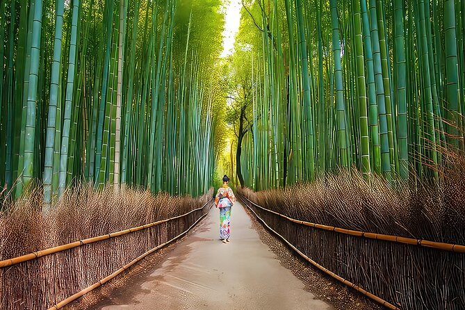 Fushimi Inari - Arashiyama: Torii Gates, Bamboo, Monkeys & Secret - Togetsukyo Bridge and the Katsura River