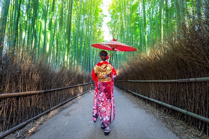 Fushimi Inari - Arashiyama: Torii Gates, Bamboo, Monkeys & Secret - What the $70.55 price includes