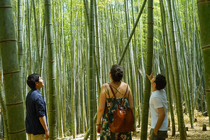 Fushimi Inari Hidden Hiking Tour (Private Option Available) - Why this route changes Fushimi Inari