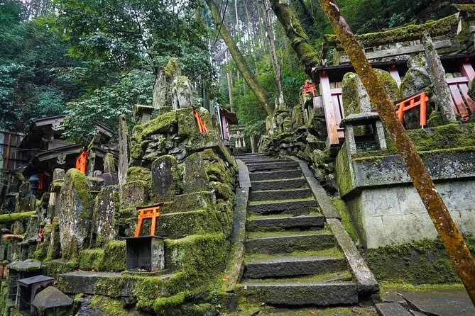 Fushimi Inari Hidden Hiking Tour (Private Option Available) - Meeting the torii gates from the back