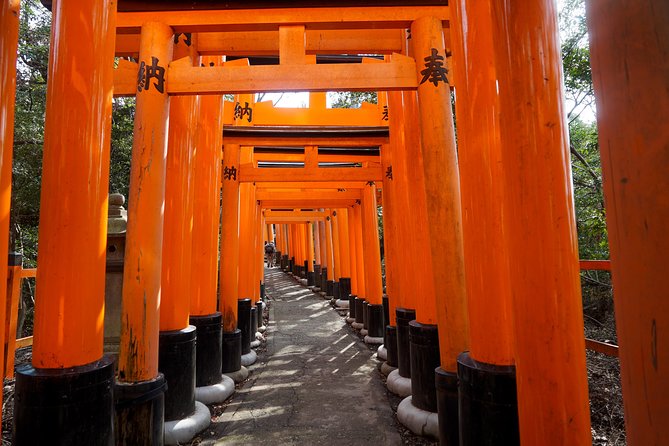 Fushimi Inari Hidden Hiking Tour (Private Option Available) - From Tofukuji toward the mountain