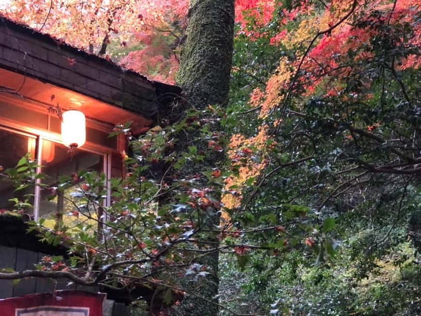 Get to know Minoo from Osaka. Katsuoji Temple, Ryuanji Waterfall and Ryuanji Temple - The walk toward Minoo Falls