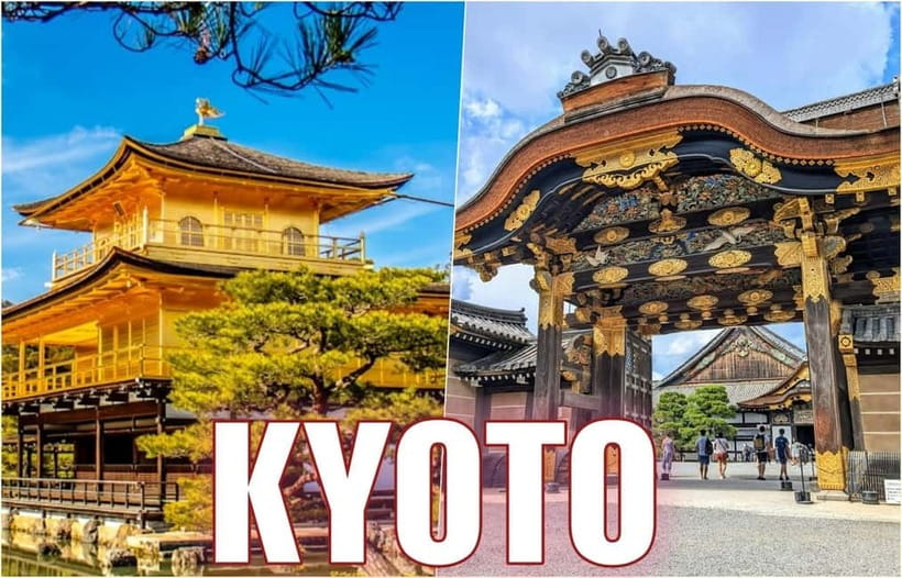 Golden Pavilion, Nijo Castle, & Nishiki Market Half day tour - Five Useful Things to Know Before Booking
