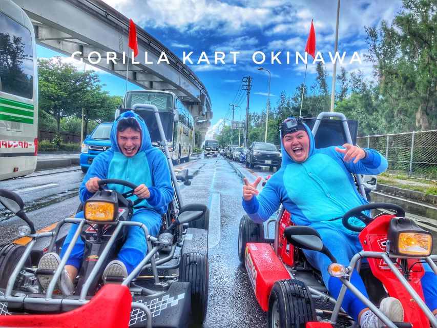 Gorilla Kart Tour-Plenty of Time Slots|Many Great Views - Five Things to Know Before You Book