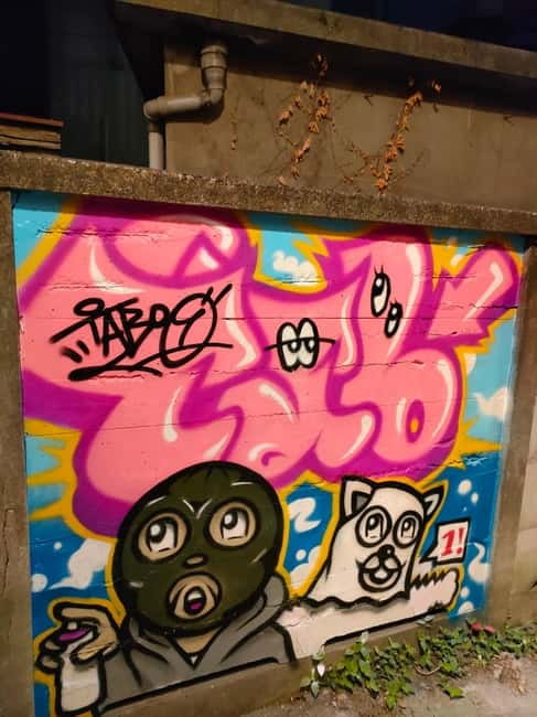 Graffiti in Tokyo Walking Tour: Shibuya and Harajuku - What Elena adds to the walls