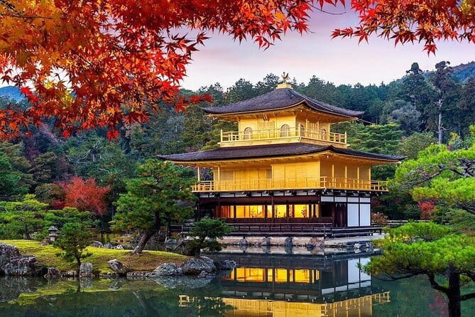 Guided Kyoto City Cherry Blossom One Day Private Tour - Key points to know before booking