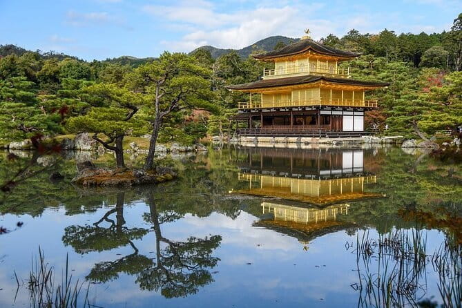 Guided Kyoto City Cherry Blossom One Day Private Tour - Why this private Kyoto day works