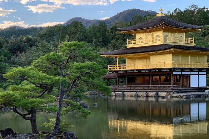 Guided Kyoto City Cherry Blossom One Day Private Tour - Arashiyama Bamboo Forest: an atmospheric first stop