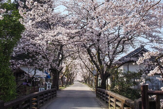 Hakata Old Town Walking Tour Tracing the True History of Fukuoka - Kabusecha and sweets at a 300-year-old tea shop