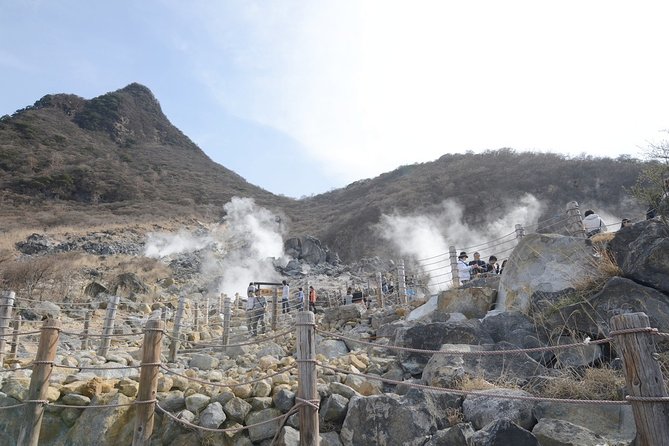 Hakone 6 hour Private Tour with Government-Licensed Guide - Building a Hakone day around your interests