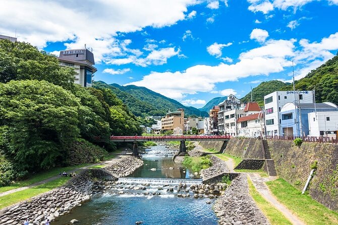Hakone 6 hour Private Tour with Government-Licensed Guide - Hakone Open-Air Museum and Gora’s art circuit
