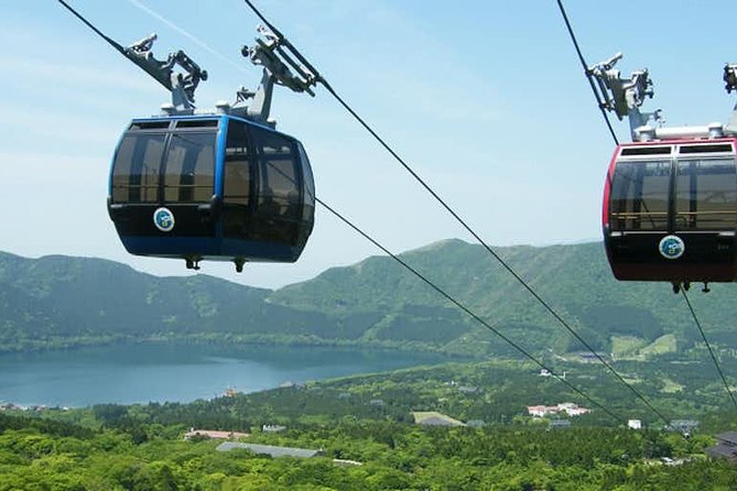 Hakone 6 hour Private Tour with Government-Licensed Guide - Smaller museums and quieter stops