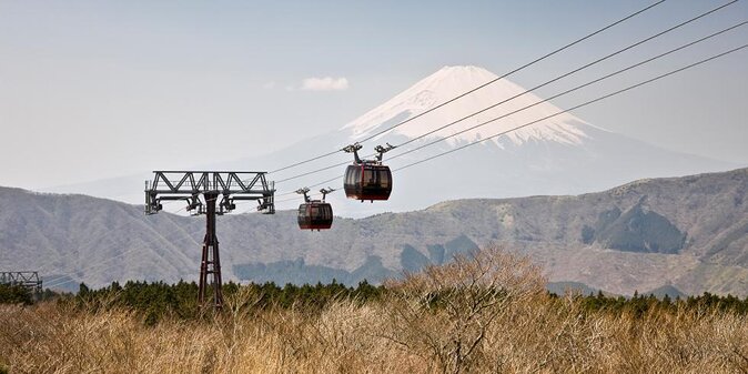 Hakone 8 hour Private Tour with Government-Licensed Guide - Key points before you book