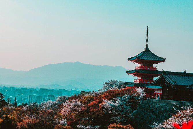 Hakone and Mt. Fuji Day Trip with Private Vehicle - Hakone Shrine and Kuzuryu Shrine Singu