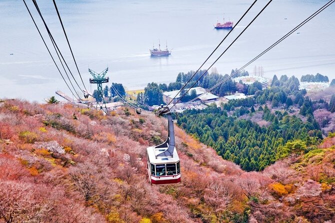 Hakone and Mt Fuji Private Custom Tour with English Guide - The optional Mishima Skywalk