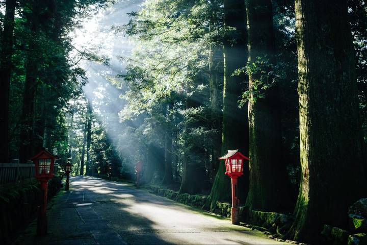 Hakone Discovery, Gateway to Mt. Fuji 3D/2N by Bamba Travel Review - What the price buys, and what it does not
