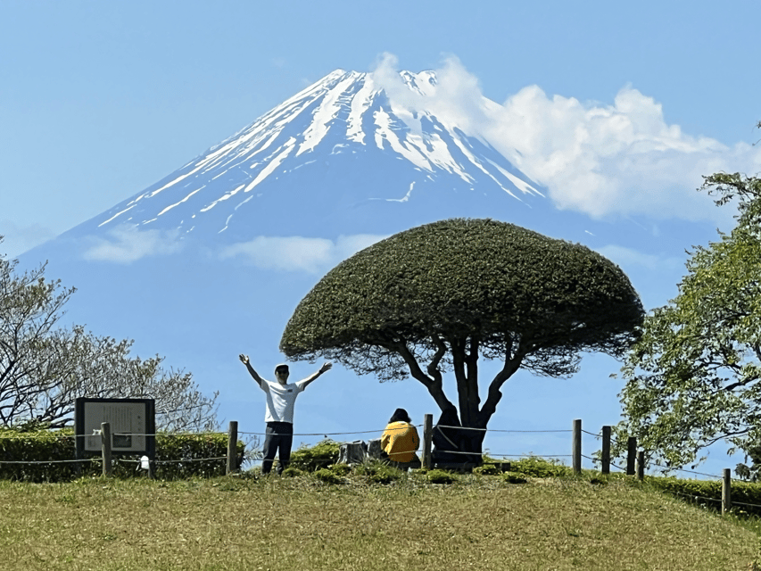 Hakone Hachiri: Old Tokaido Highway Hiking Tour - Key points at a glance