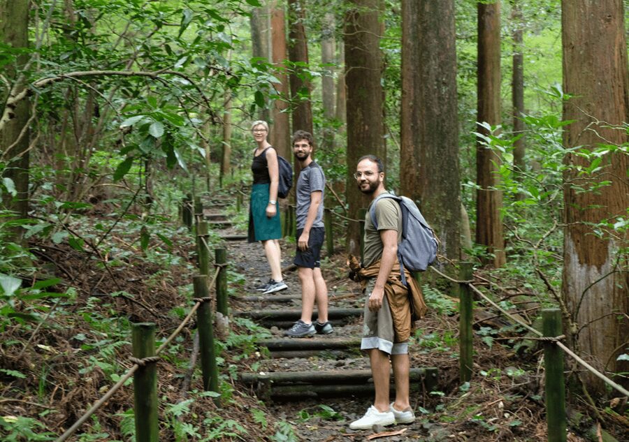 Hakone Hachiri: Old Tokaido Highway Hiking Tour - Amasake at a 400-year-old teahouse