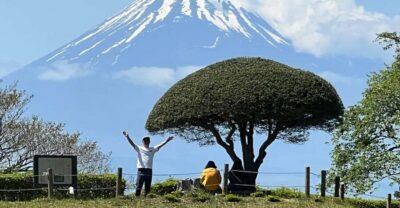 Hakone Hachiri: Old Tokaido Highway Hiking Tour