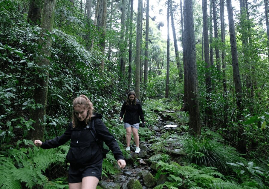 Hakone Hachiri: Old Tokaido Highway Hiking Tour - Cobbles, Lake Ashi, and the postcard view