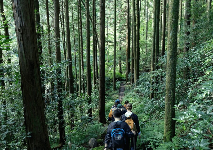 Hakone Hachiri: Old Tokaido Highway Hiking Tour - Crossing Hakone Pass and visiting castle ruins