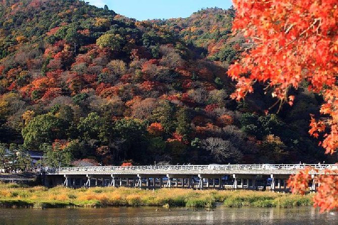 Half Day Kyoto Sagano Bamboo Grove & Arashiyama Walking Tour - What this half-day tour really covers
