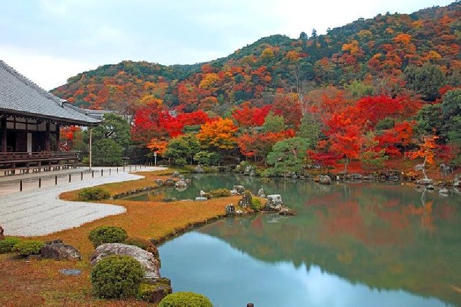 Half Day Kyoto Sagano Bamboo Grove & Arashiyama Walking Tour - Jojakko-ji and the hills above Sagano