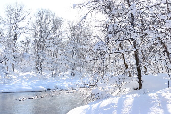 Half Day - Snow View Rafting in Niseko - Gear, guides, and the feeling of safety