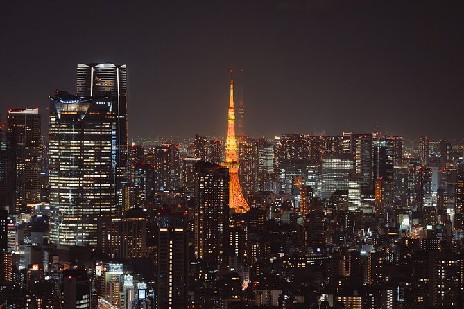 Haneda Airport: One Way Private Transfer to Tokyo|Yokohama Hotels - Vehicle comfort, luggage, and group size