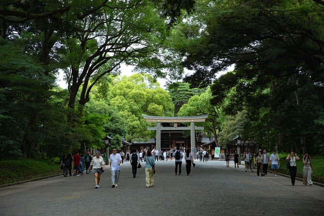 Harajuku Meiji Shrine Walking Tour in Tokyo - Omotesando’s modern finish