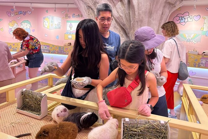 Harajuku Private Tour: Kawaii Fashion & Animal Cafe Included - Omotesando, Tokyu Plaza, and a change of pace