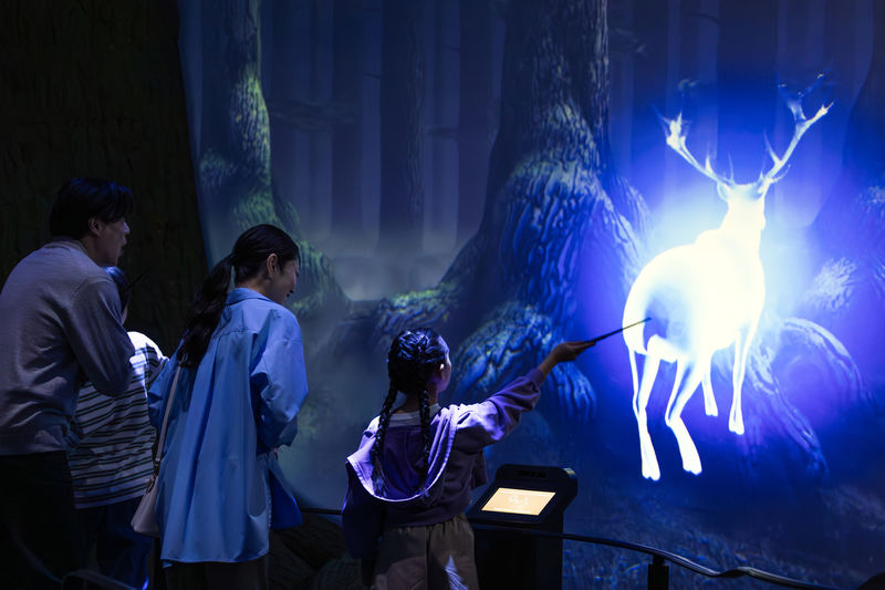 Harry Potter Studio Tour Tokyo - Is the ticket worth the price?