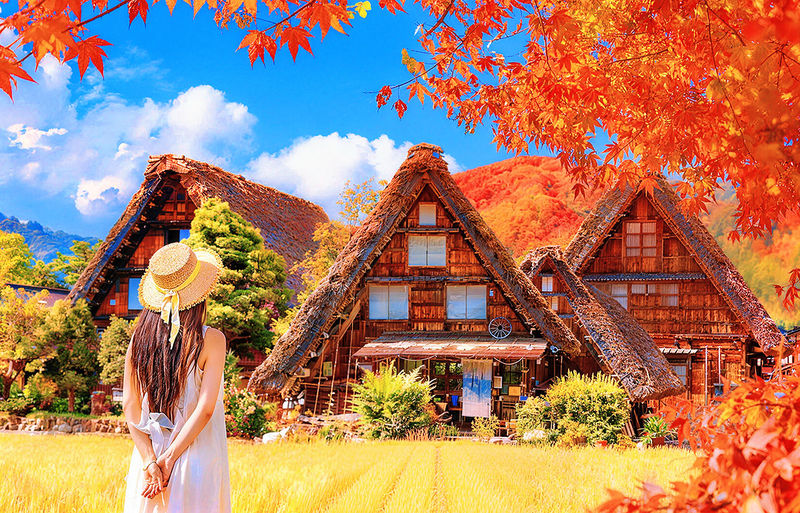 Hida Takayama & Shirakawa-go Gassho Village Day Trip (Departing from Nagoya, optional observatory tour included) - At a glance: what to know before booking